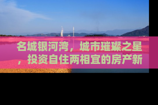 名城银河湾，城市璀璨之星，投资自住两相宜的房产新贵