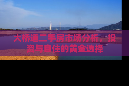 大桥道二手房市场分析，投资与自住的黄金选择