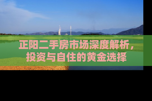 正阳二手房市场深度解析，投资与自住的黄金选择
