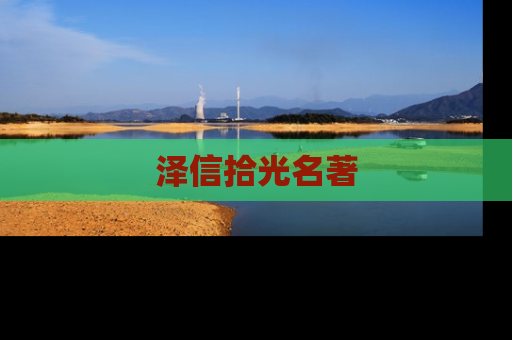 泽信拾光名著