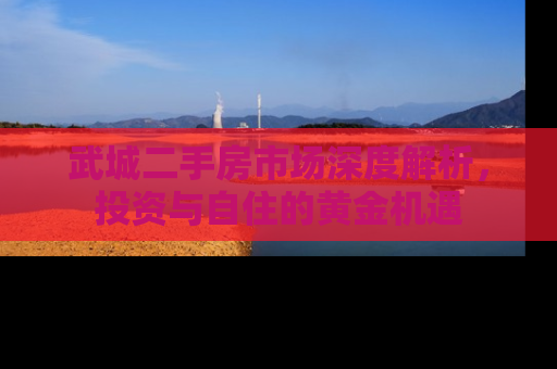 武城二手房市场深度解析，投资与自住的黄金机遇