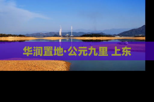 华润置地·公元九里 上东