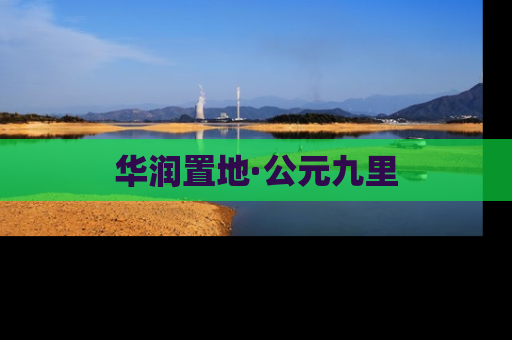 华润置地·公元九里