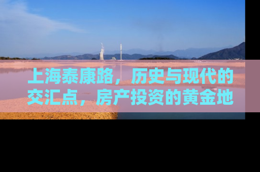 上海泰康路，历史与现代的交汇点，房产投资的黄金地段