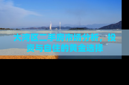 大湾区二手房市场分析，投资与自住的黄金选择