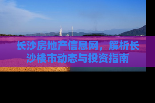 长沙房地产信息网，解析长沙楼市动态与投资指南