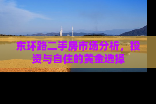 东环路二手房市场分析，投资与自住的黄金选择