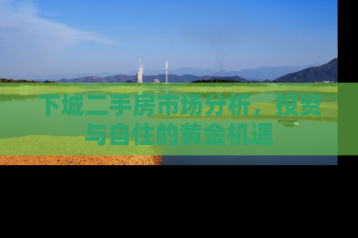 下城二手房市场分析，投资与自住的黄金机遇