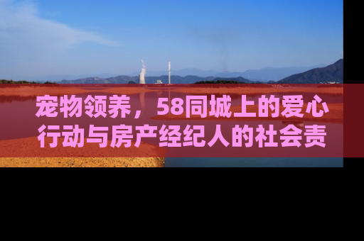 宠物领养，58同城上的爱心行动与房产经纪人的社会责任