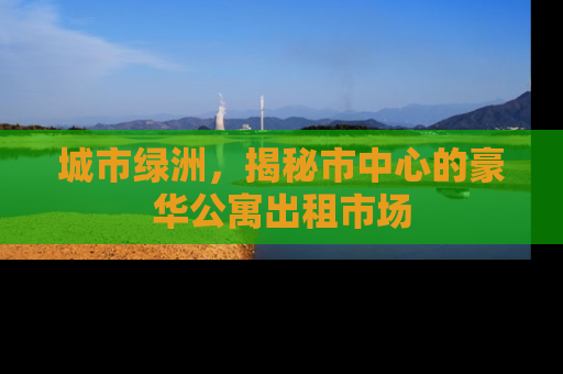 城市绿洲，揭秘市中心的豪华公寓出租市场