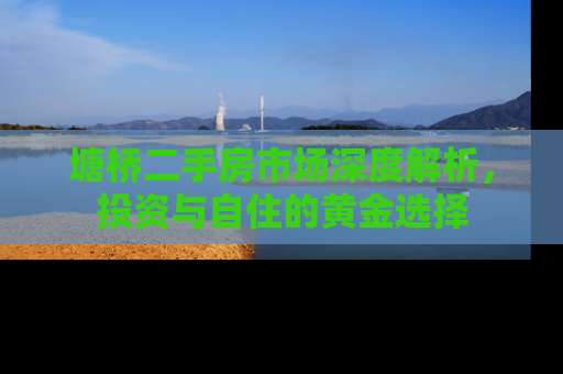 塘桥二手房市场深度解析，投资与自住的黄金选择