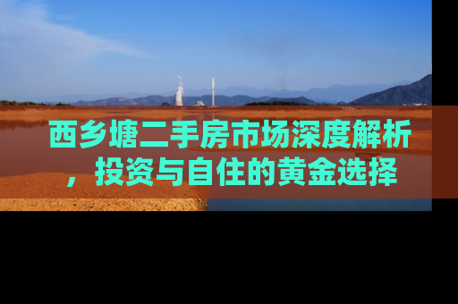 西乡塘二手房市场深度解析，投资与自住的黄金选择
