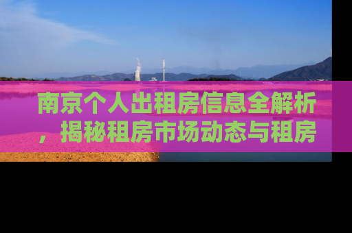 南京个人出租房信息全解析，揭秘租房市场动态与租房攻略