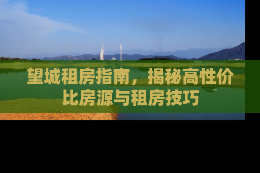 望城租房指南，揭秘高性价比房源与租房技巧