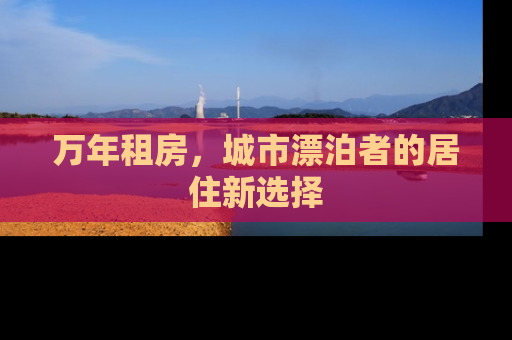 万年租房，城市漂泊者的居住新选择