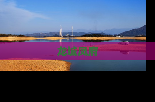 龙城凤府