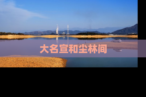 大名宣和尘林间