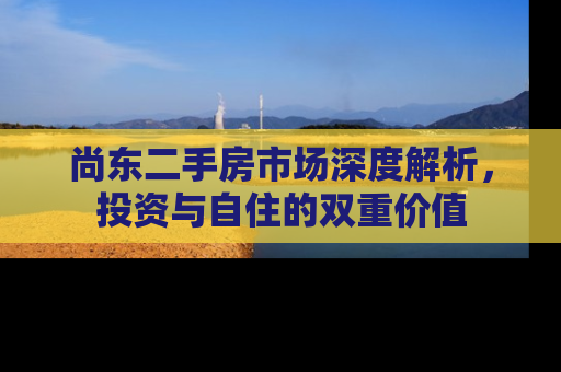尚东二手房市场深度解析，投资与自住的双重价值
