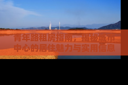 青年路租房指南，揭秘城市中心的居住魅力与实用信息