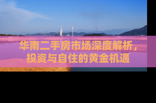 华南二手房市场深度解析，投资与自住的黄金机遇