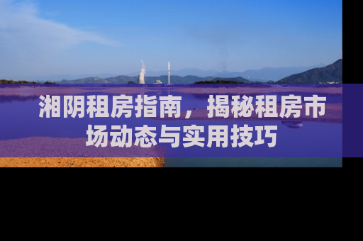湘阴租房指南，揭秘租房市场动态与实用技巧
