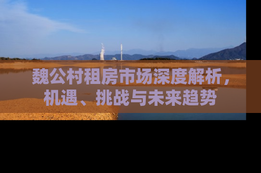 魏公村租房市场深度解析，机遇、挑战与未来趋势