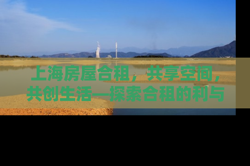 上海房屋合租，共享空间，共创生活—探索合租的利与弊
