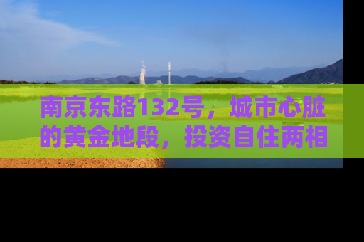 南京东路132号，城市心脏的黄金地段，投资自住两相宜的房产宝地