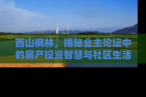 西山枫林，揭秘业主论坛中的房产投资智慧与社区生活