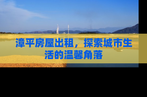漳平房屋出租，探索城市生活的温馨角落