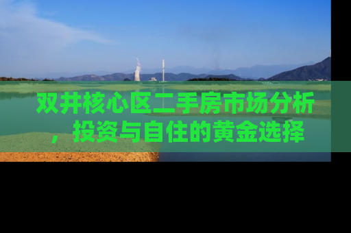 双井核心区二手房市场分析，投资与自住的黄金选择