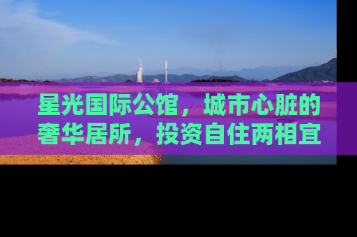 星光国际公馆，城市心脏的奢华居所，投资自住两相宜