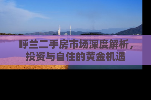 呼兰二手房市场深度解析，投资与自住的黄金机遇
