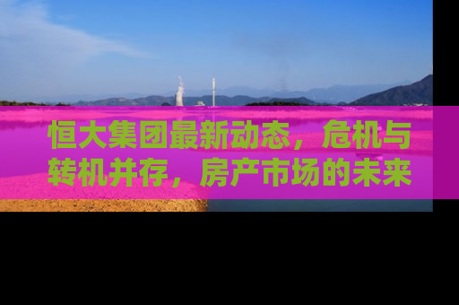 恒大集团最新动态，危机与转机并存，房产市场的未来走向