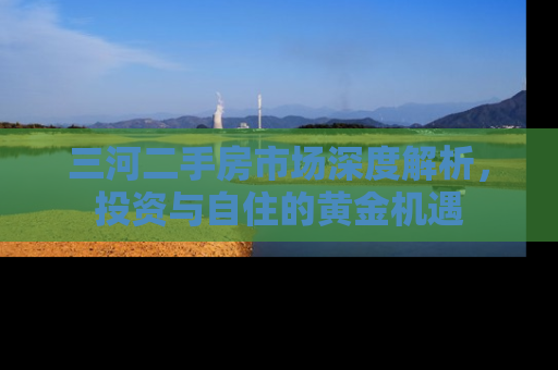 三河二手房市场深度解析，投资与自住的黄金机遇