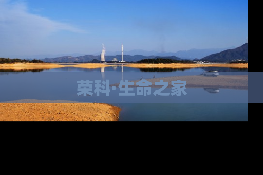 荣科·生命之家