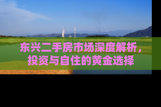 东兴二手房市场深度解析，投资与自住的黄金选择