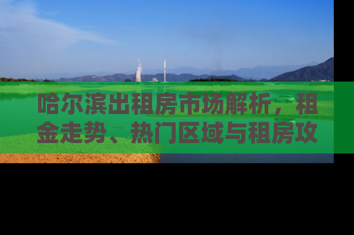哈尔滨出租房市场解析，租金走势、热门区域与租房攻略