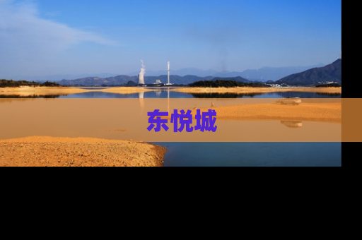 东悦城