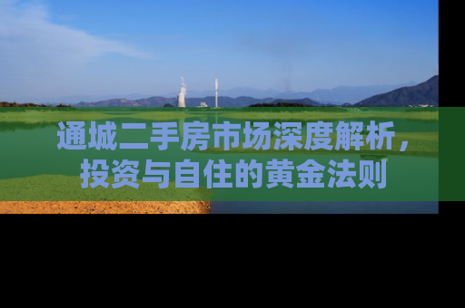 通城二手房市场深度解析，投资与自住的黄金法则
