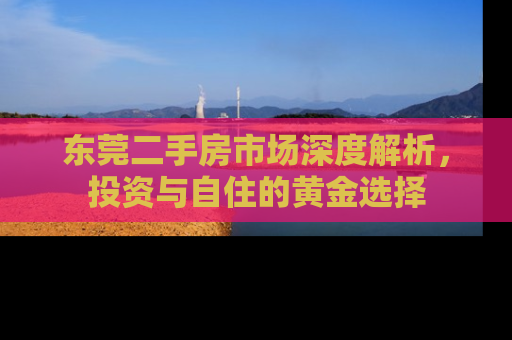 东莞二手房市场深度解析，投资与自住的黄金选择