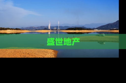 盛世地产