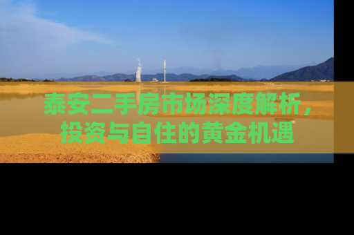 泰安二手房市场深度解析，投资与自住的黄金机遇