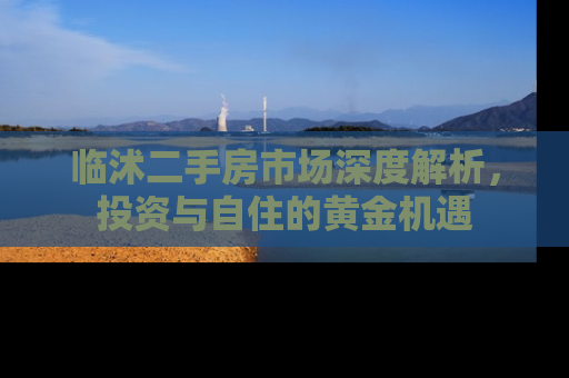 临沭二手房市场深度解析，投资与自住的黄金机遇