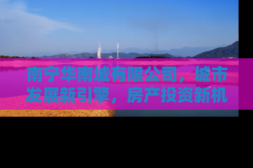 南宁华南城有限公司，城市发展新引擎，房产投资新机遇