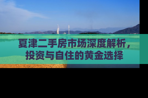 夏津二手房市场深度解析，投资与自住的黄金选择