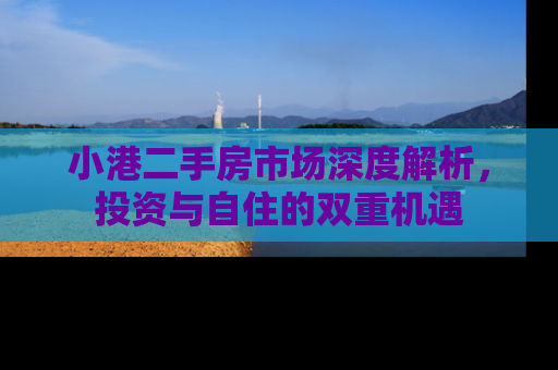 小港二手房市场深度解析，投资与自住的双重机遇