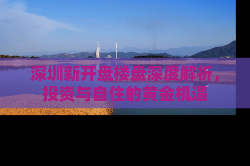 深圳新开盘楼盘深度解析，投资与自住的黄金机遇