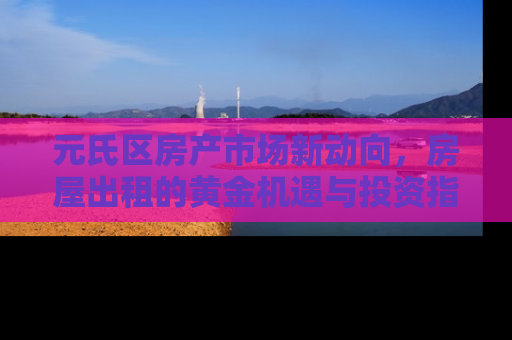 元氏区房产市场新动向，房屋出租的黄金机遇与投资指南