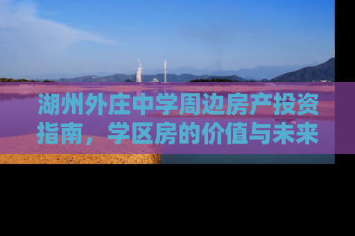 湖州外庄中学周边房产投资指南，学区房的价值与未来展望